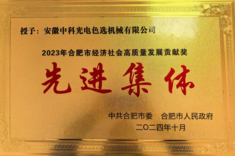 929-合肥市经济社会开展高质量开展先进集体